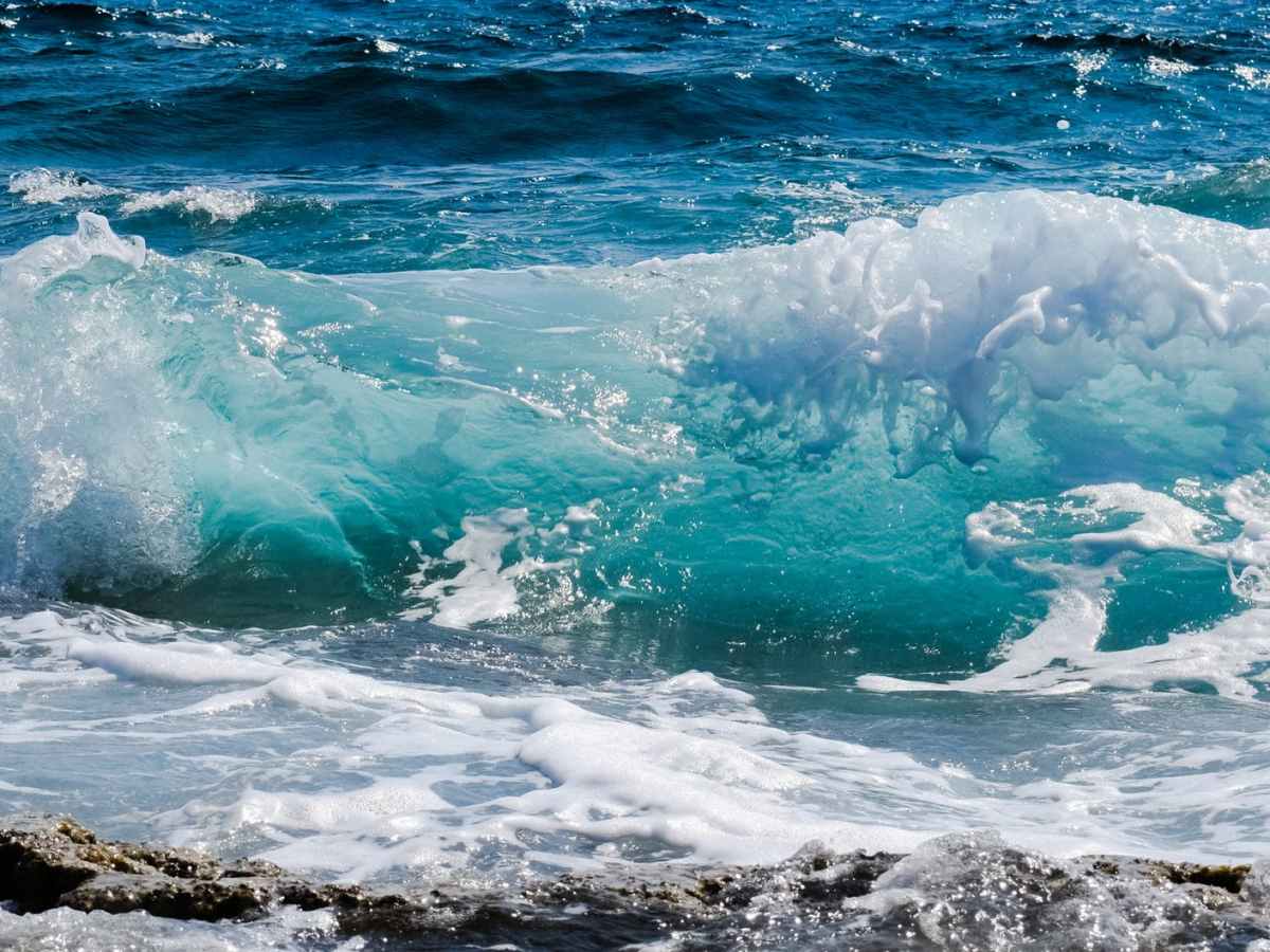 Organisationen und Empfehlungen