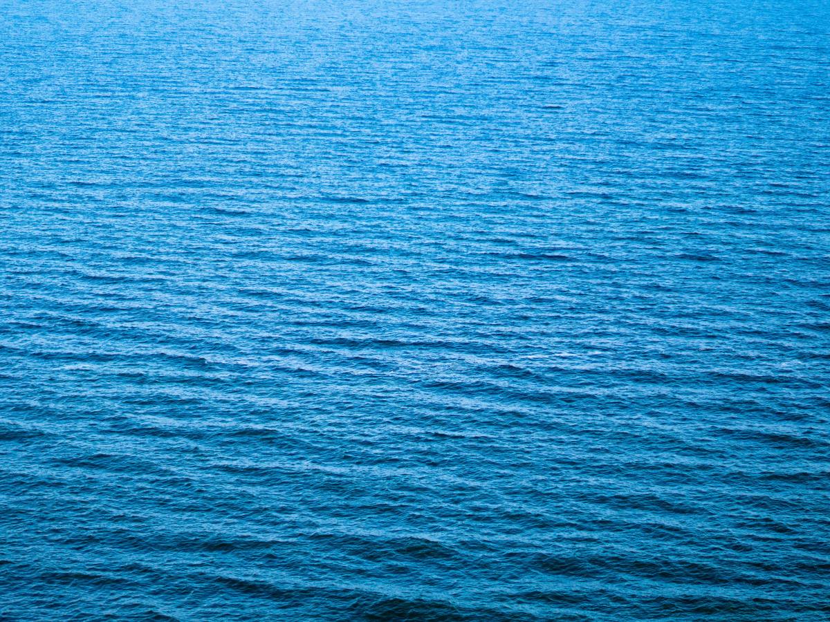 Odysseas Elytis: Ο χρόνος είναι γλήγορος ϊσκιος&nbsp;πουλιών