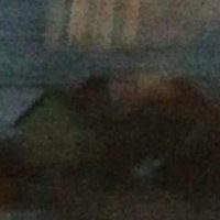 Anna W. von Huber: Lebe, weil du&nbsp;liebst