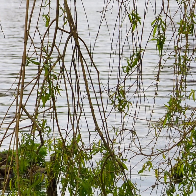 Begegnungen einer Hafenstadt:&nbsp;Hamburg