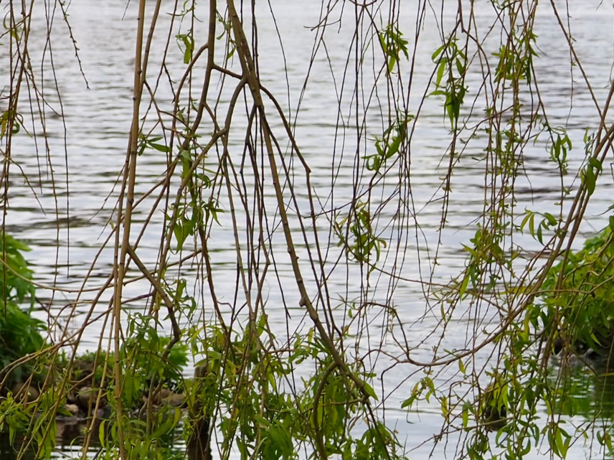 Begegnungen einer Hafenstadt:&nbsp;Hamburg