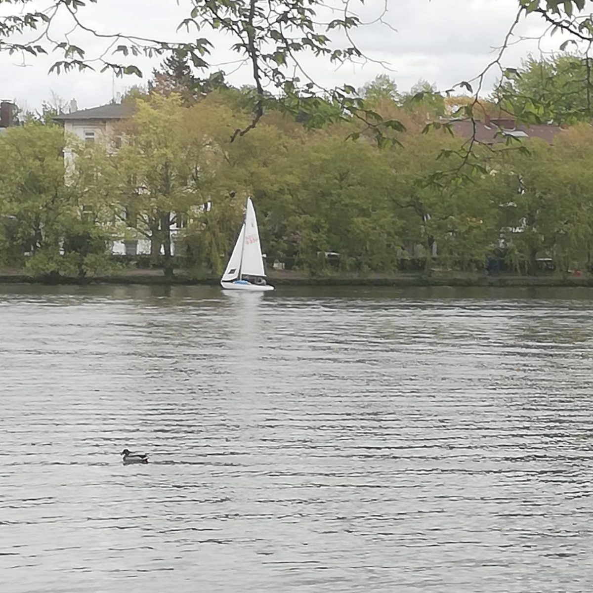 Anna W. von. Huber: Was ich&nbsp;will