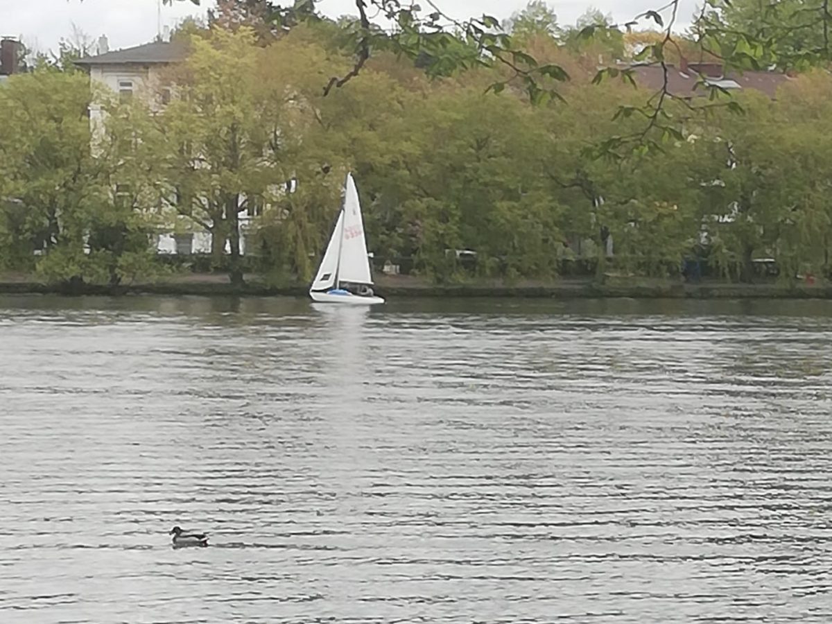 Anna W. von. Huber: Was ich&nbsp;will