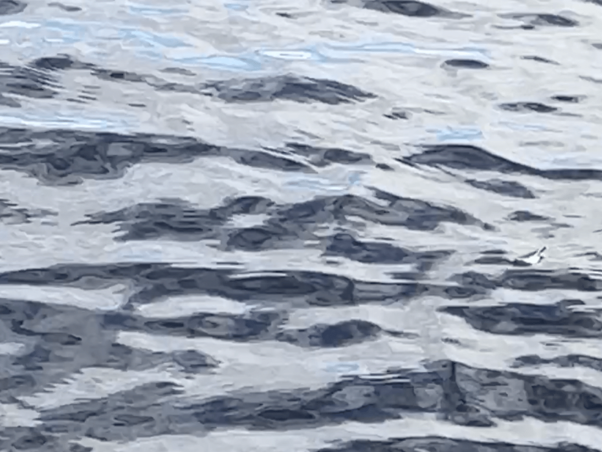 Anna W. Von Huber: Promises written in&nbsp;water