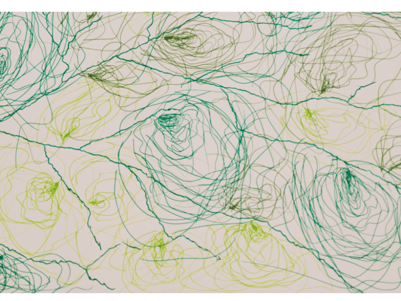 Anna W. von Huber: übungen zum&nbsp;glück