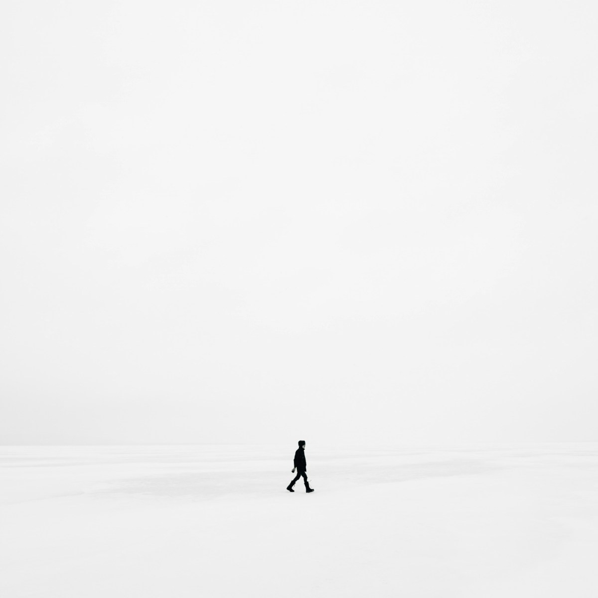 Camus Absurdität im Lichte einer umgedrehten Wahrheit.Ein kritischer&nbsp;Essay