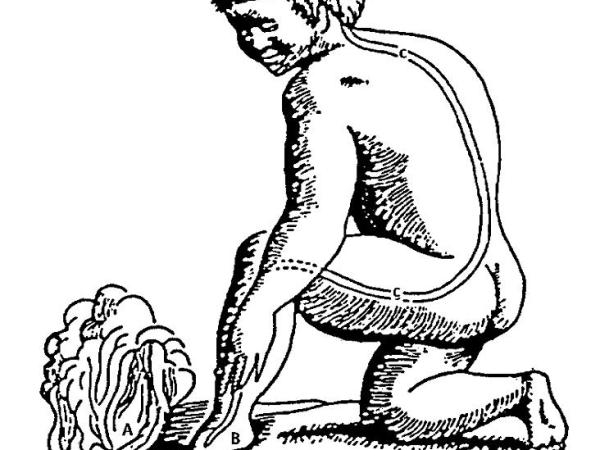 René Descartes – Ich denke also bin ich&nbsp;wirklich?