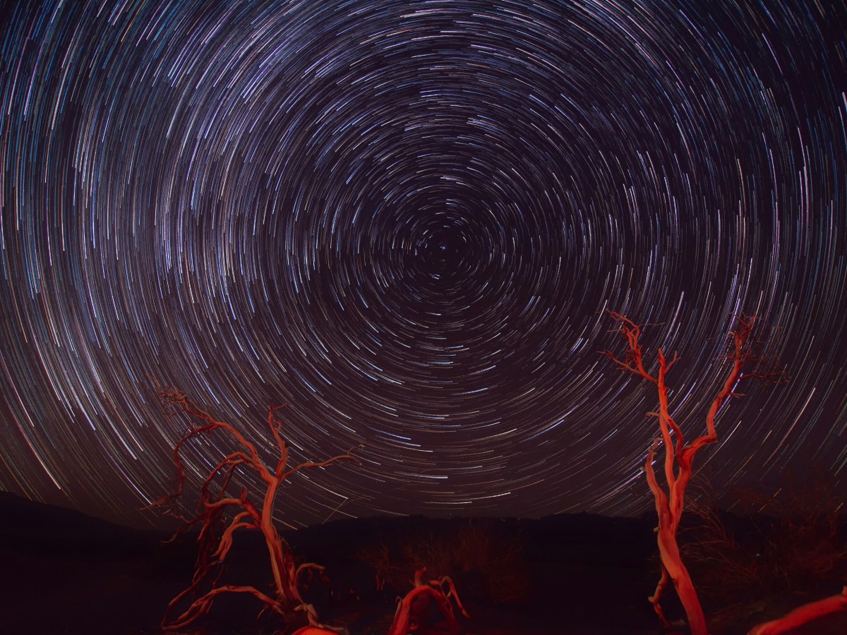 Angel André Osorio: Das Echo ihrer&nbsp;Augenlider