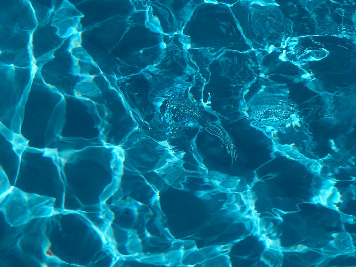 Mascha Kaléko: Gedichte machen ist wie&nbsp;angeln