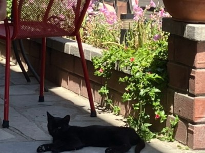 Anna W. von Huber: Das&nbsp;Meer