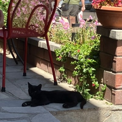 Anna W. von Huber: Das&nbsp;Meer