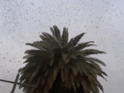 Fünf Gedanken über das&nbsp;Reisen.