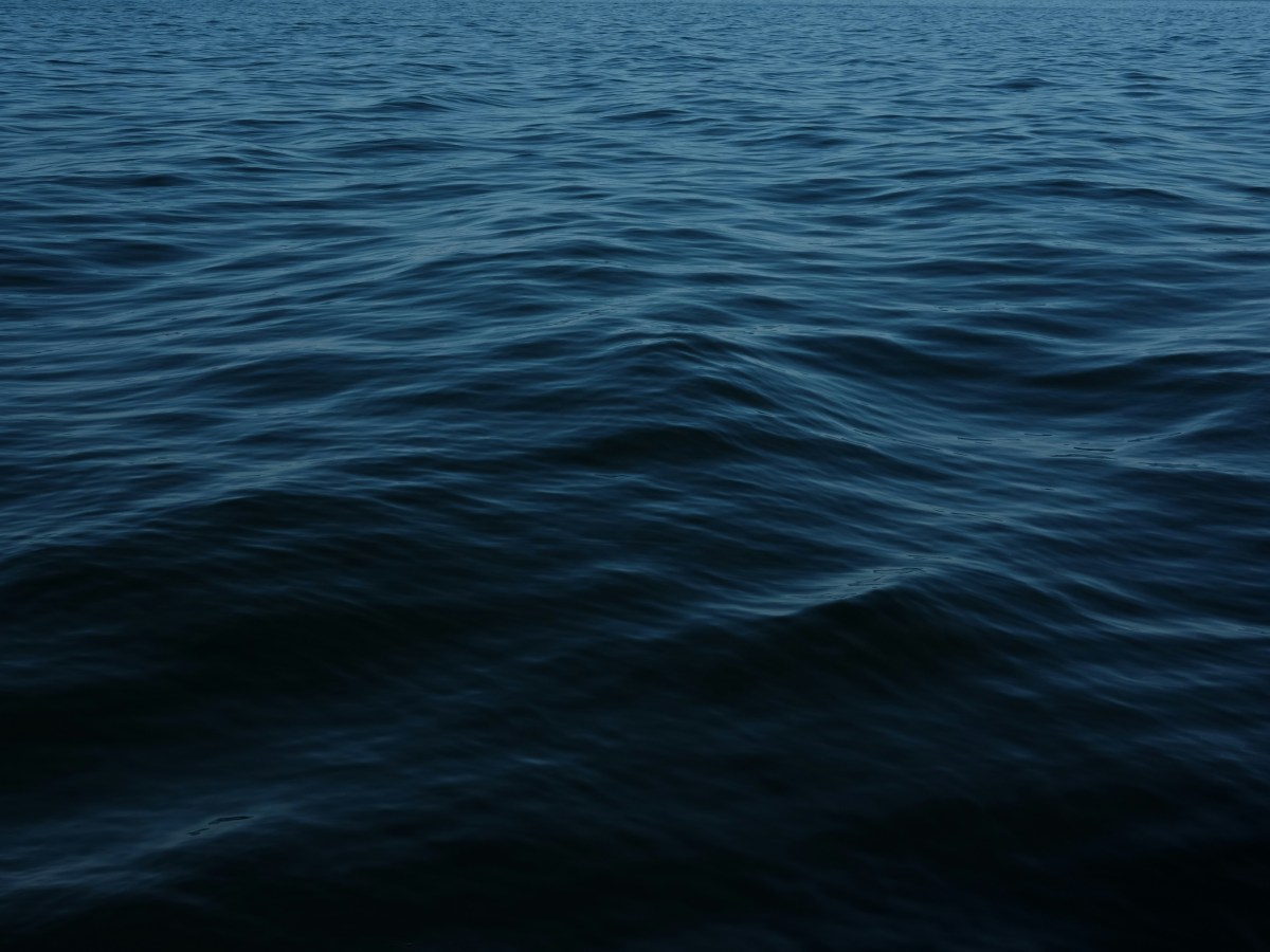 Fünf Gründe, warum es sich lohnt, Philosophie des Meeres von Gunter Scholtz, zu&nbsp;lesen.