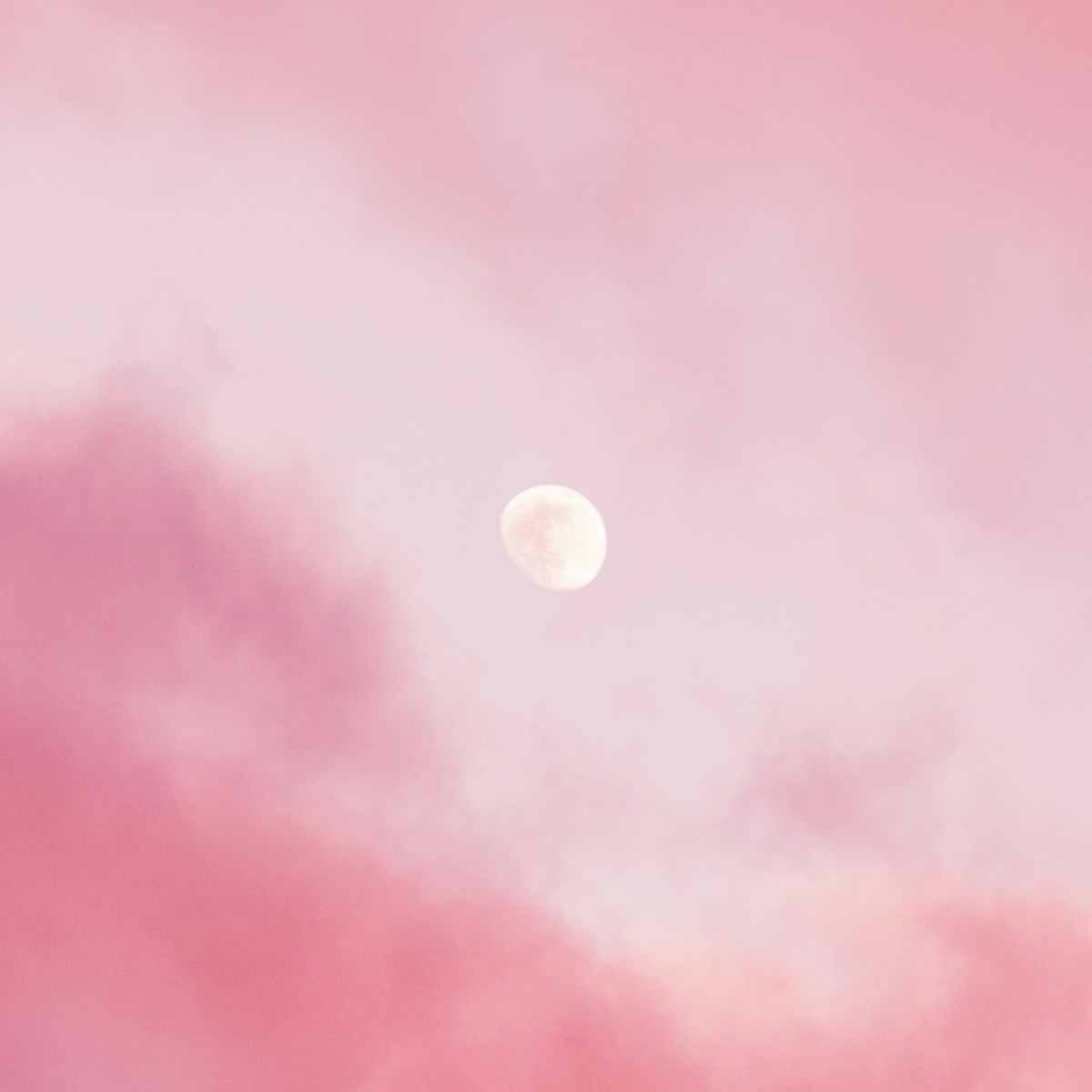Narella Schnabel: La luna&nbsp;rosa