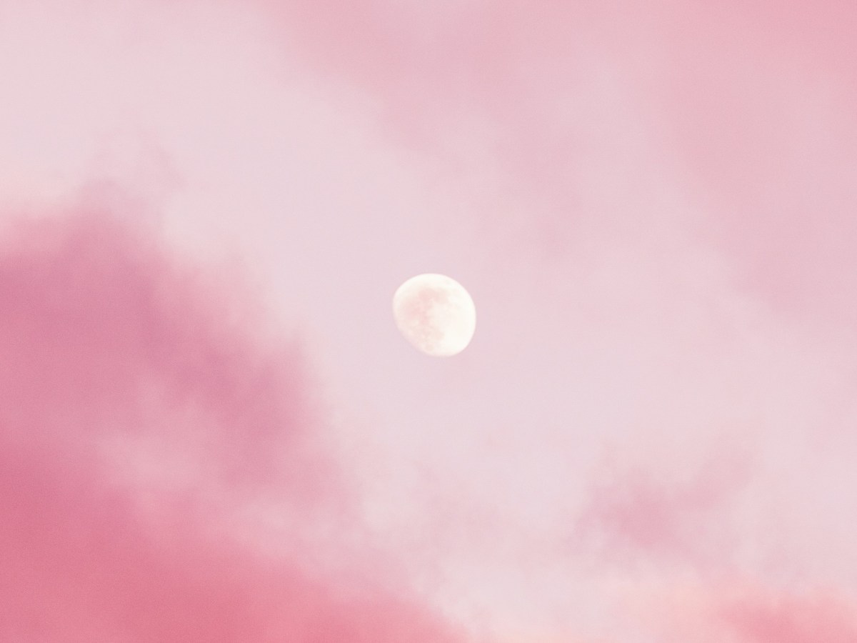 Narella Schnabel: La luna&nbsp;rosa